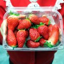 재인농장 이미지