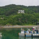 반나절
