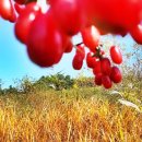 종인유치원 이미지