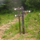 백두축산 이미지