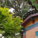 제주 정광사 소조미륵여래입상 | 제주의 사찰...정광사