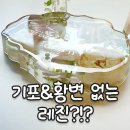 냄새없고 기포없는 디셈보솜 레진(공구예고)