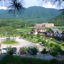 푸른 산마루 이미지