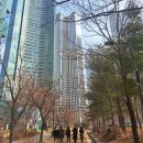 서울숲과 아크로서울포레스트, 갤러리아포레 이미지