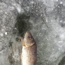 계척지 네이버블로그