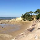 소금길 2코스 이미지