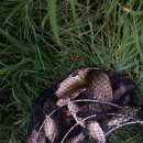 삼대당구장 이미지