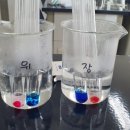 겨울방학, 과학아 놀자 이미지