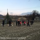 정월농산 이미지