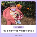 5914 | 제주 아이와 가볼 만한 곳 협재 귤따기체험 귤한가 직접 다녀온 후기