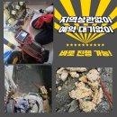 예산(당진) 이미지