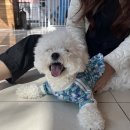 더엘동물의료센터 이미지