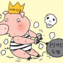 돼지는이베리코 이미지