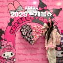 쇼 | 서울 코엑스 전시회 2025 트래블쇼 후기 coex 여행박람회 부스