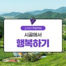 힐링칠링 이미지