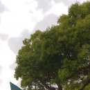 놀멍쉬멍 이미지