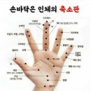 라라터치