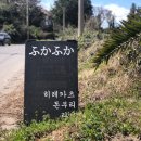 제주애월카츠 - 송파구 올림픽로 240 | 제주애월카츠