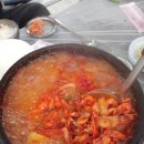 파라솔장어 Daum카페