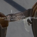 인 안경 이미지