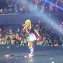 월드포장 이미지