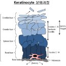 논현약국 이미지