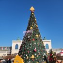 치즈밸리참나무집 이미지