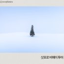 베이스캠프 | 삿포로 비에이투어(삿포로베이스캠프)내돈내산 추천 후기