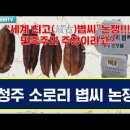 세계 최고(最古) &#34;청주 소로리 볍씨 &#34; 학술 등재가 민족주의 주장인가? 이미지