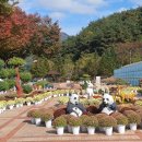 거창-거창-5 이미지