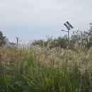 방아다리근린공원 이미지