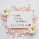 4개월차 강남 실거주 후기