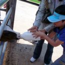 세진목장 이미지