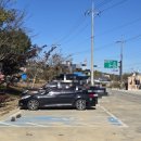 예산-73 | 예산 용궁리 백송, 희귀한 자연유산과 200년의 세월, 그리고 천연기념물