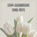 세일화원 | 일상리뷰)) 파주 조인폴리아 화원 후기_식물 덕후의 성지! 힐링 그 자체였던 초록 감성 공간