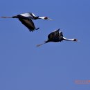 주남저수지 이미지