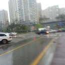 제주도야지 삼겹살 앞 이미지