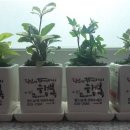 사당1동주민센터 이미지