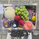 자연을담은과일가게 | 보은 과일가게 추천 '자연을담은과일 보은점' 신선한 제철 과일 구입 후기