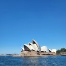 시드니호텔 | 시드니 여행 첫날 완벽 가이드 | 교통비 50% 아끼는 법 &amp; 뷰 시드니 호텔 후기