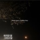 삽교호 벚꽃 드라이브 &amp; 데이트코스 추천! 맛집까지 완벽하게 즐기기
