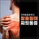 서울신정형외과의원 | 어깨를 들 때마다 걸리는 통증, 그냥 넘기면 안 되는 이유 <대소면 서울신정형외과>