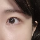 [속눈썹 맛집]화정 나무아이래쉬/속눈썹 펌/화정 속눈썹/화정 속눈썹 연장
