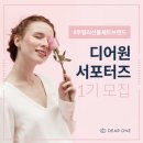 디어원 네이버블로그
