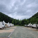 미술관옆 이미지