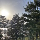 힐 스노클비치 호텔 | 삼척 장호항 5분거리 호텔추천 내돈내산 힐스노클비치호텔펜션 솔직후기 만족한 역대급 숙소