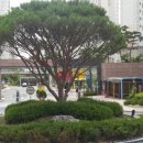 부영아파트 앞 이미지