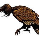 앤쏠로지 이미지