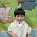 4월 3일 목요일 - 공감 펫토리 이미지