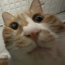 골든보이짐 | 2026년 1월 기록